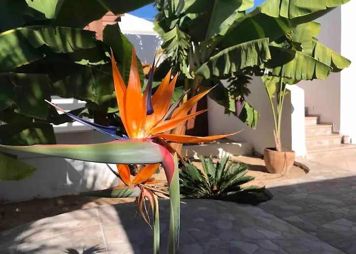 Gezellige Met Prachtig Zicht En Zwembad * Arona (Tenerife)